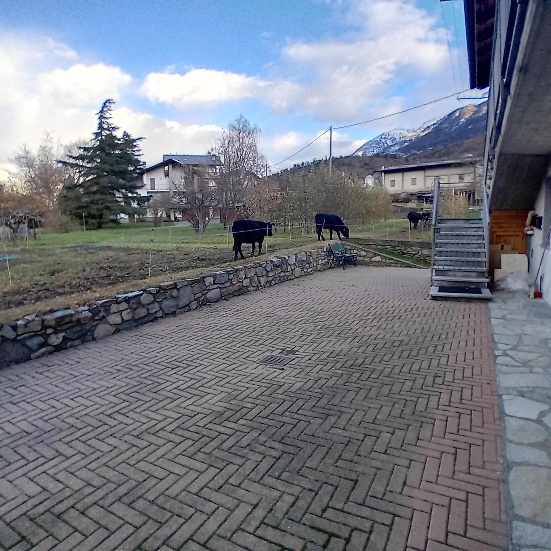 Maison Clair Vda Gressan N 0094 Aosta Habitación foto